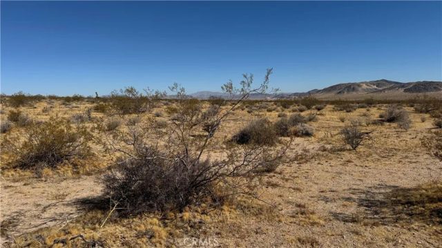 0 Bodick, Johnson Valley, CA 92285