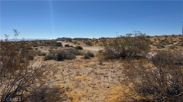 0 Bodick, Johnson Valley, CA 92285