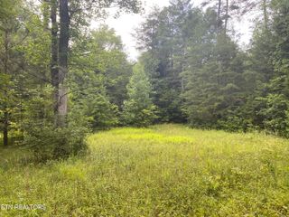 Baxter Norris Rd, Crab Orchard, TN 37723
