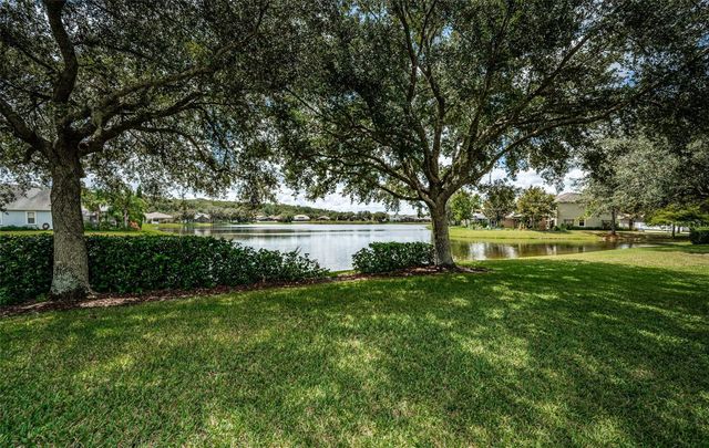 15727 CEDAR ELM TERRACE, Land O Lakes, FL 34638