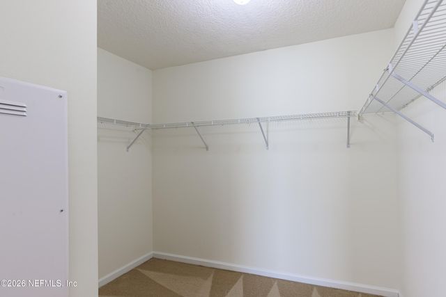 2748 WOOD STORK Trail, Orange Park, FL 32073