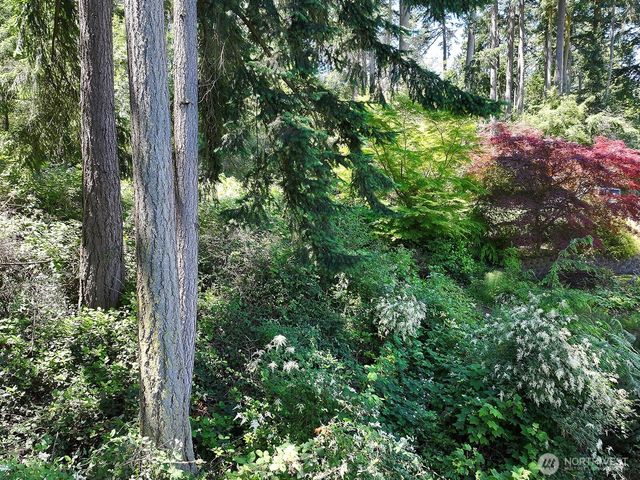 0 Belvedere Place, Coupeville, WA 98239