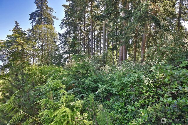 0 Belvedere Place, Coupeville, WA 98239