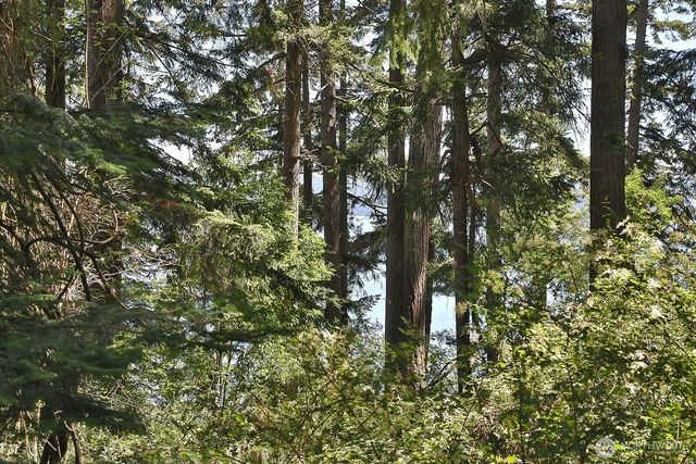0 Belvedere Place, Coupeville, WA 98239