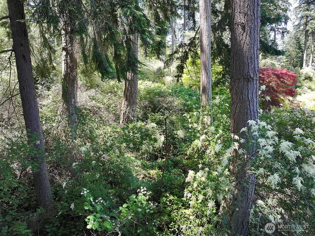 0 Belvedere Place, Coupeville, WA 98239