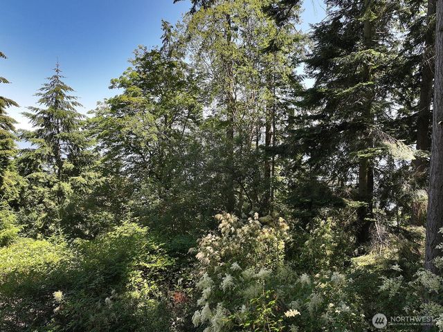 0 Belvedere Place, Coupeville, WA 98239