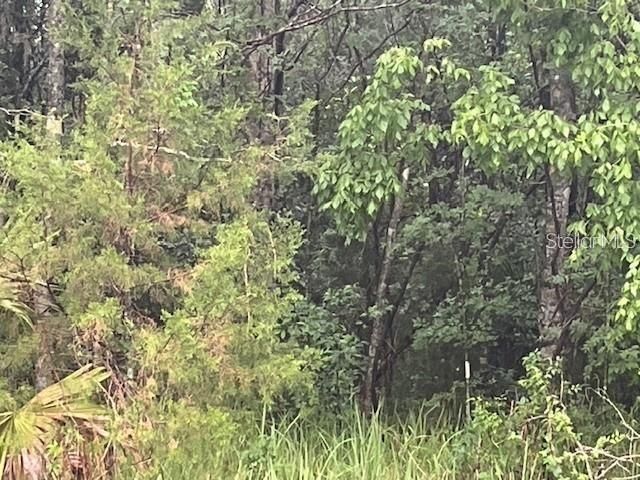 SHARON STREET, Brooksville, FL 34601