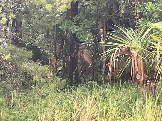 SHARON STREET, Brooksville, FL 34601