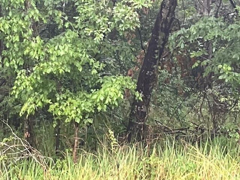 SHARON STREET, Brooksville, FL 34601