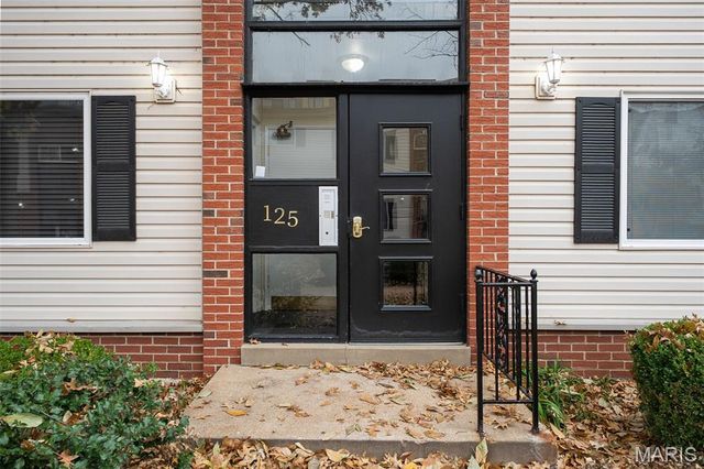 125 E Washington Avenue 2N, Kirkwood, MO 63122