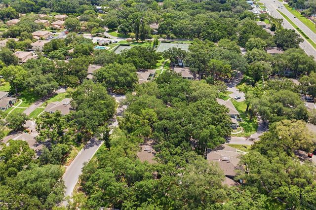 6214 DEWDROP WAY, Temple Terrace, FL 33617