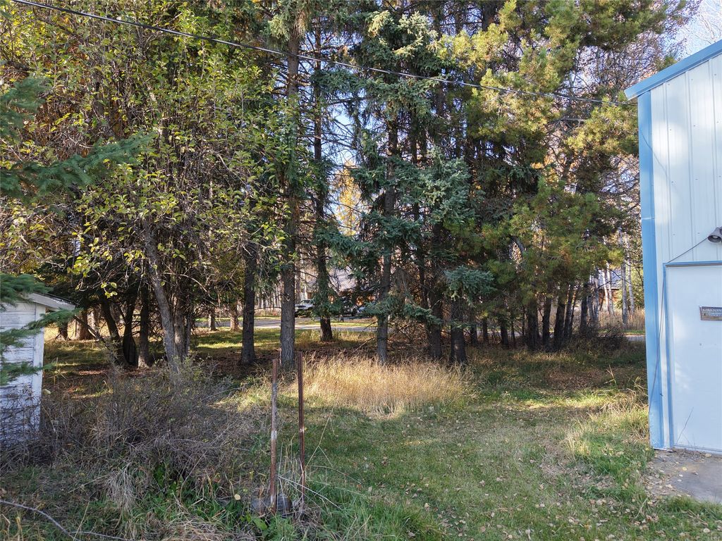 303 Texas Avenue, Whitefish, MT 59937 photo 5