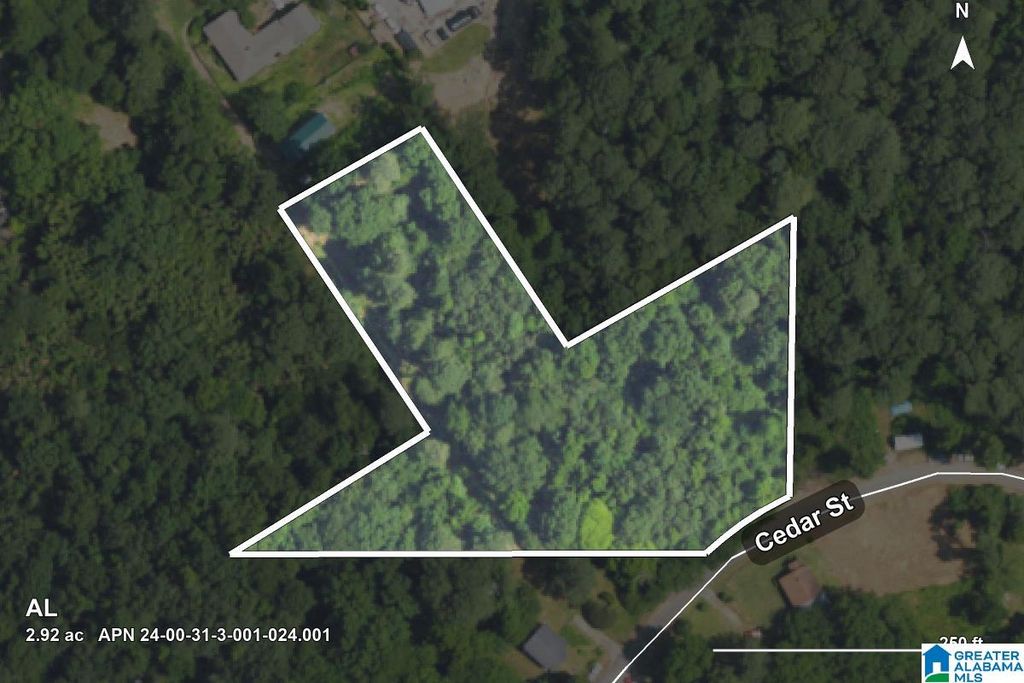 0 CEDAR STREET, Birmingham, AL 35210