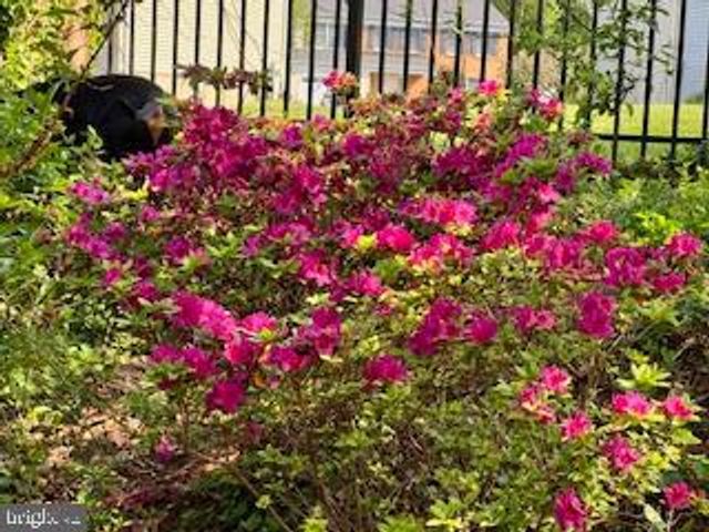 509 CENTRAL AVE CT, Reisterstown, MD 21136