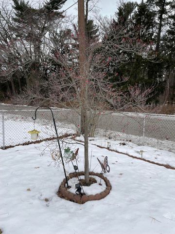 1115 Springland Avenue, Michigan City, IN 46360