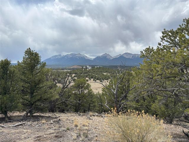10314 Rawhide Creek Road, Nathrop, CO 81236
