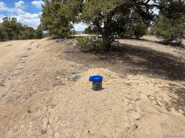 10314 Rawhide Creek Road, Nathrop, CO 81236