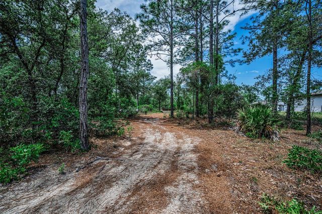 12123 FULMAR ROAD, Weeki Wachee, FL 34614