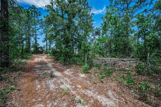 12123 FULMAR ROAD, Weeki Wachee, FL 34614
