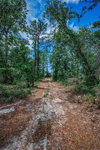 12123 FULMAR ROAD, Weeki Wachee, FL 34614