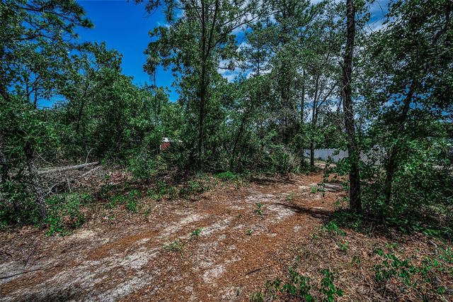 12123 FULMAR ROAD, Weeki Wachee, FL 34614