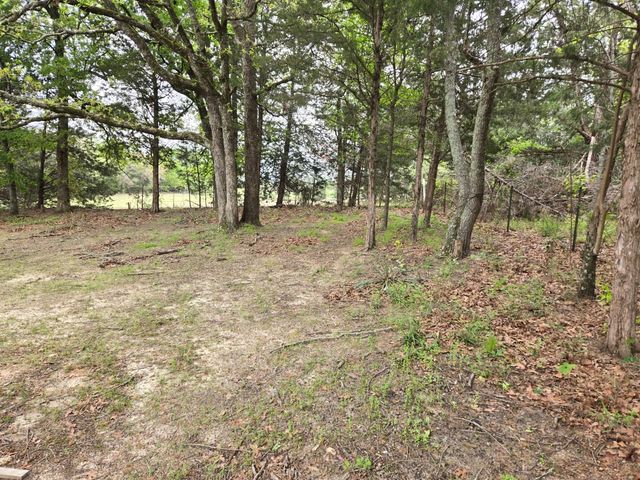 221 Private Road 8807, Ben Wheeler, TX 75754