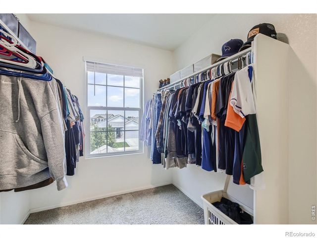 1685 Highfield Drive, Windsor, CO 80550