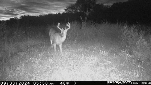 1606 OO Highway, Odessa, MO 64076