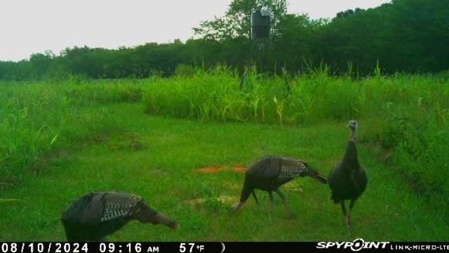 1606 OO Highway, Odessa, MO 64076