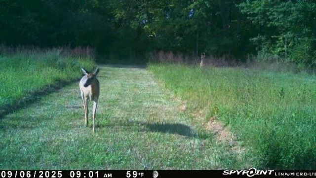 1606 OO Highway, Odessa, MO 64076