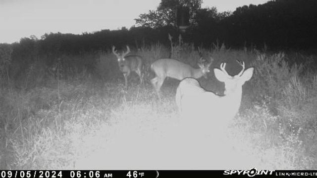 1606 OO Highway, Odessa, MO 64076