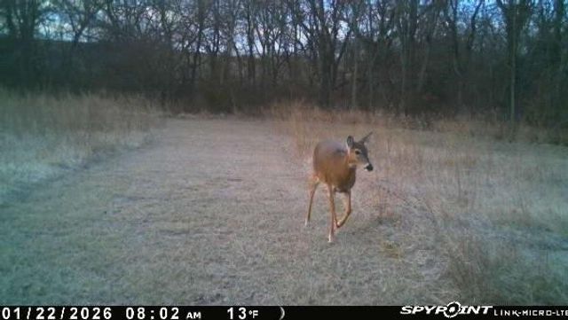 1606 OO Highway, Odessa, MO 64076