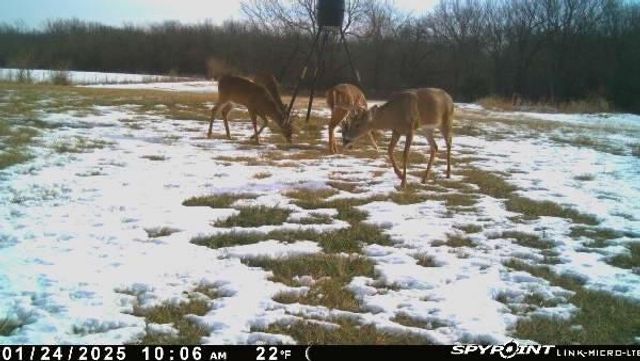 1606 OO Highway, Odessa, MO 64076