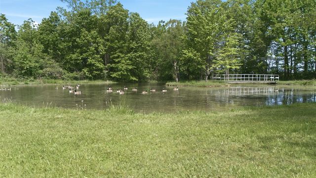 7767 Warren Woods Road, Three Oaks, MI 49128