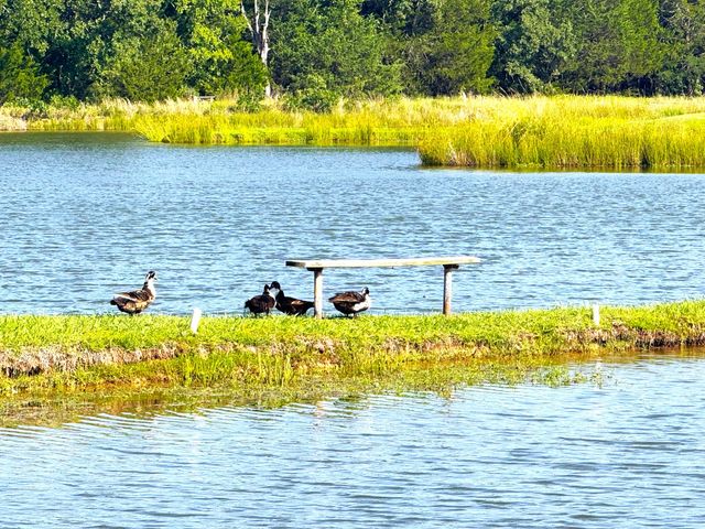 1926 Private Road 3344, Greenville, TX 75402
