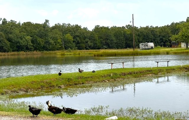 1926 Private Road 3344, Greenville, TX 75402