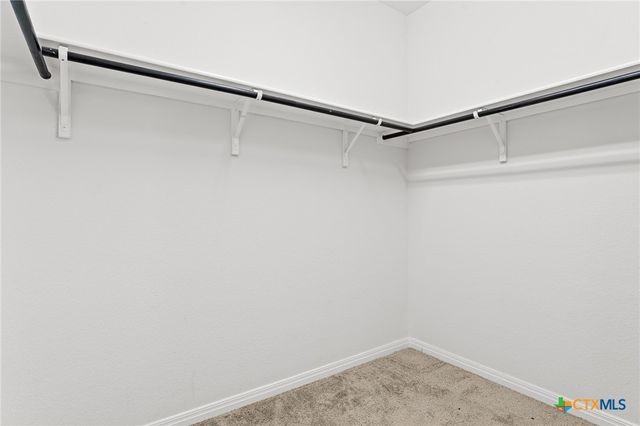 448 Chaste Tree Drive, San Marcos, TX 78666