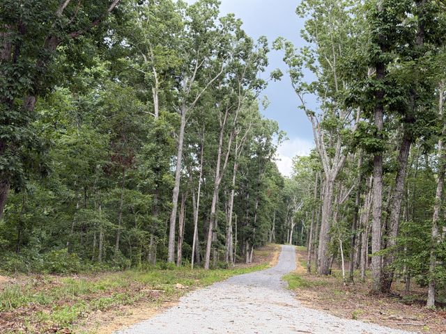 0 Hwy 50 East, Centerville, TN 37033