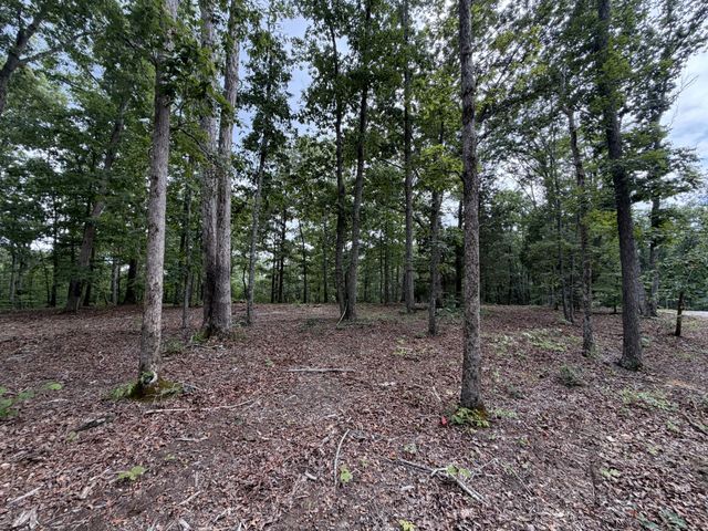 0 Hwy 50 East, Centerville, TN 37033