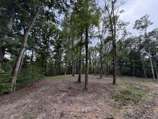 0 Hwy 50 East, Centerville, TN 37033
