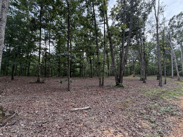 0 Hwy 50 East, Centerville, TN 37033