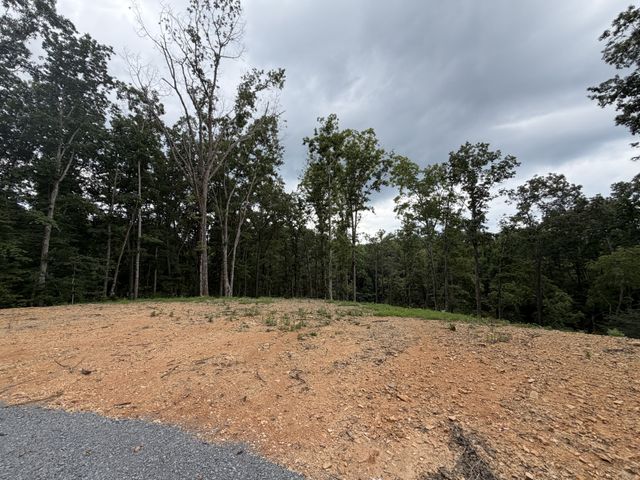 0 Hwy 50 East, Centerville, TN 37033