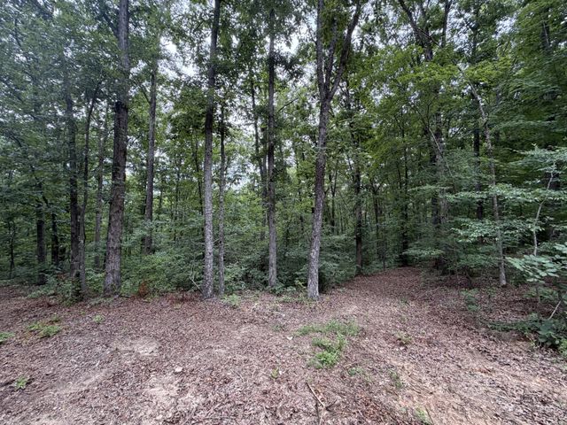 0 Hwy 50 East, Centerville, TN 37033