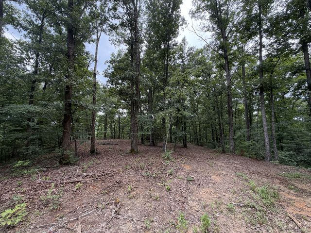 0 Hwy 50 East, Centerville, TN 37033