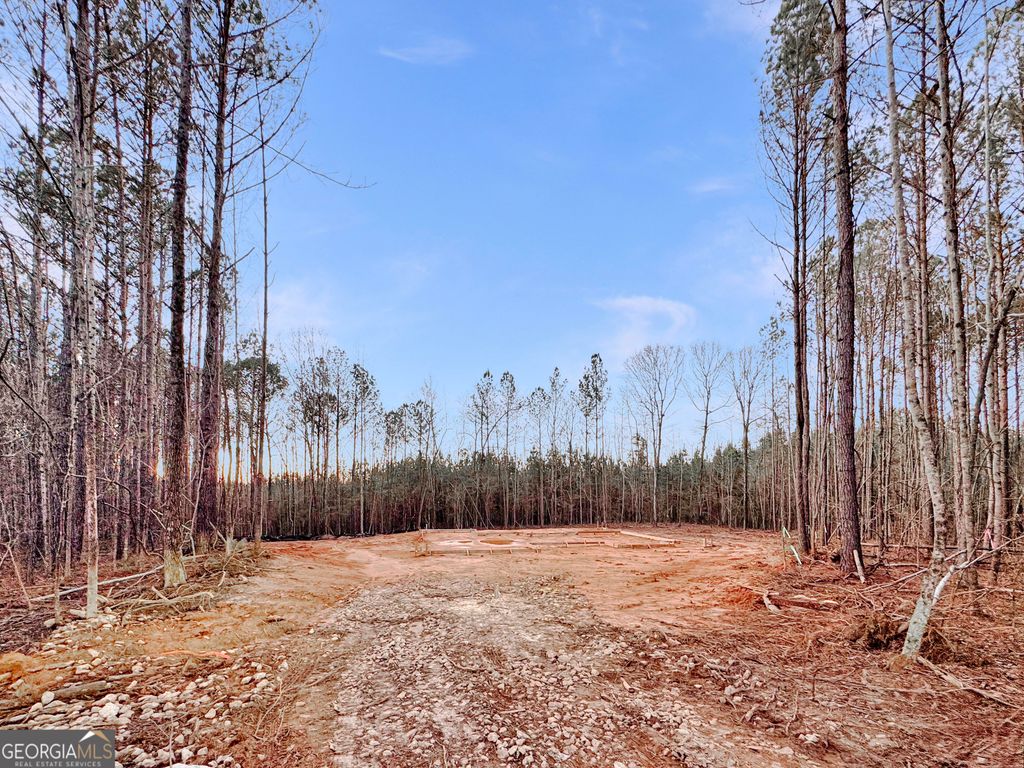 6323B Keith Road, Hogansville, GA 30230