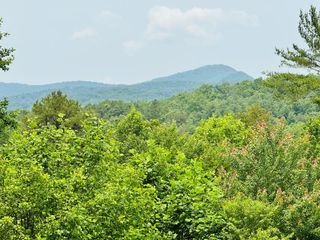 220 Mountain High Drive, Mineral Bluff, GA 30559