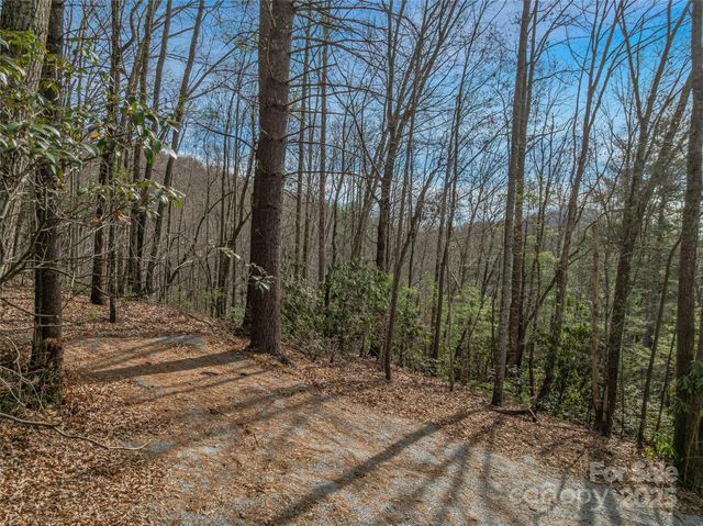 9999-13 Bob Barnwell Road, Asheville, NC 28803