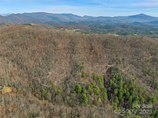 9999-13 Bob Barnwell Road, Asheville, NC 28803