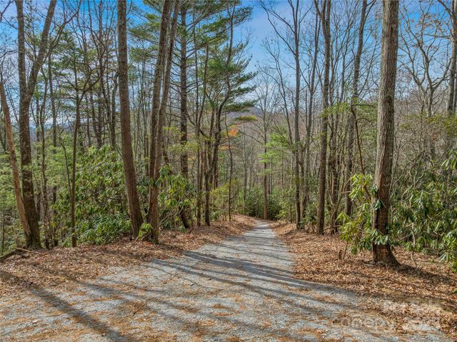 9999-13 Bob Barnwell Road, Asheville, NC 28803