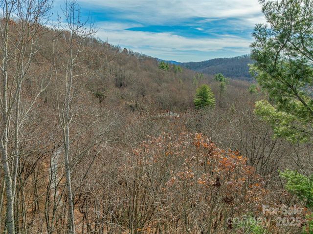 9999-13 Bob Barnwell Road, Asheville, NC 28803